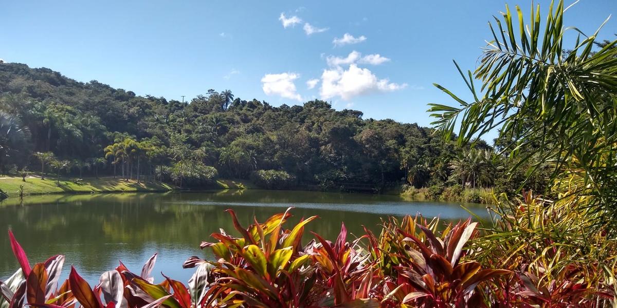 Inhotim precisa e pode ser visto e apreciado como algo muito maior do que um dos mais belos destinos turísticos próximos à capital mineira (Iracema Barreto)