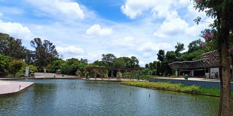 Parque das Mangabeiras comemora 40 anos com programação especial no fim de semana (Suziane Brugnara/Divulgação)