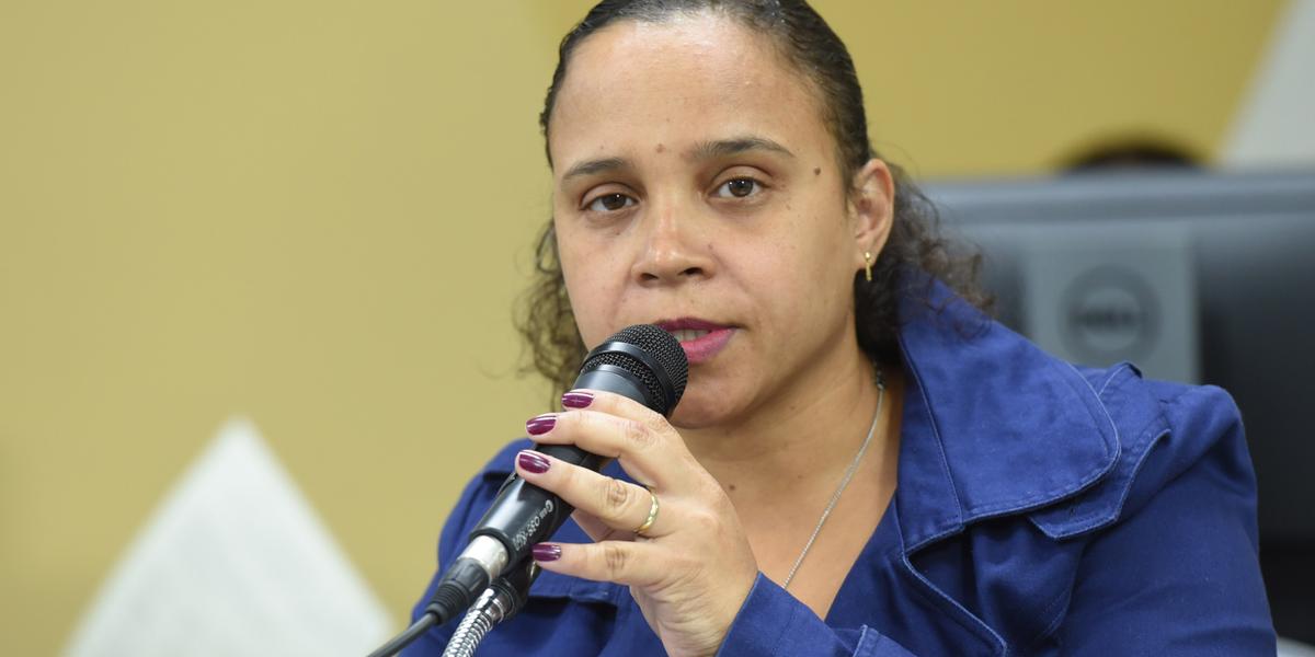 Proposta é de autoria da deputada Ana Paula Siqueira (Guilherme Bergamini / ALMG)
