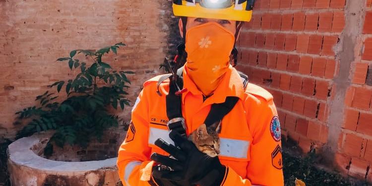 (Corpo de Bombeiros / divulgação )