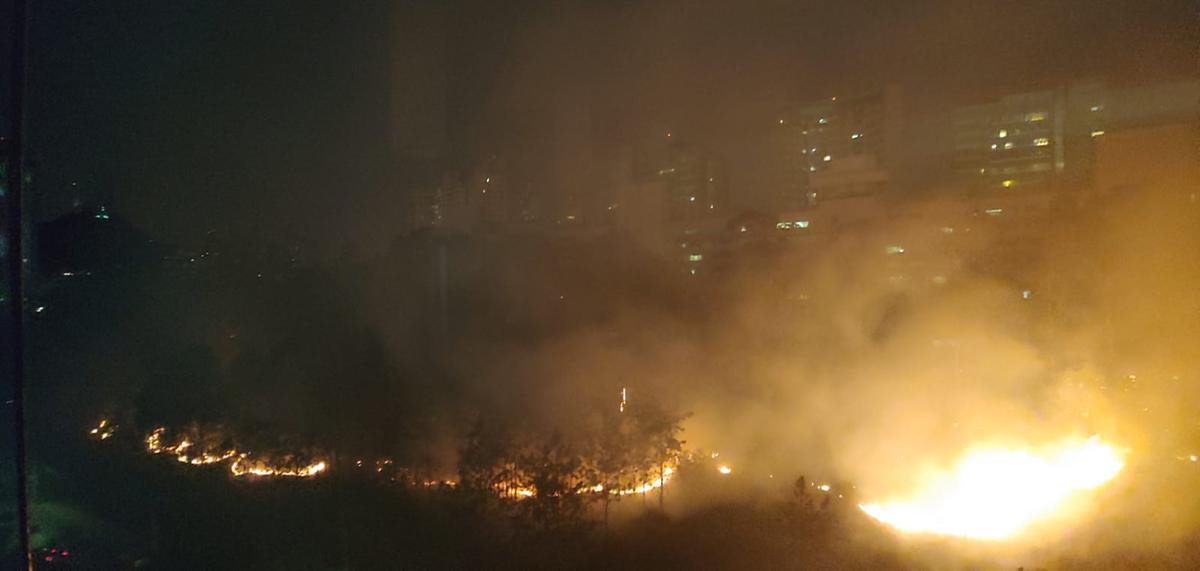 Bombeiros militares fazem o rescaldo do incêndio que atingiu a área do Parque Linear do Belvedere, na região Centro-Sul, no início da noite desta quinta-feira (Parque Linear / Divulgação)