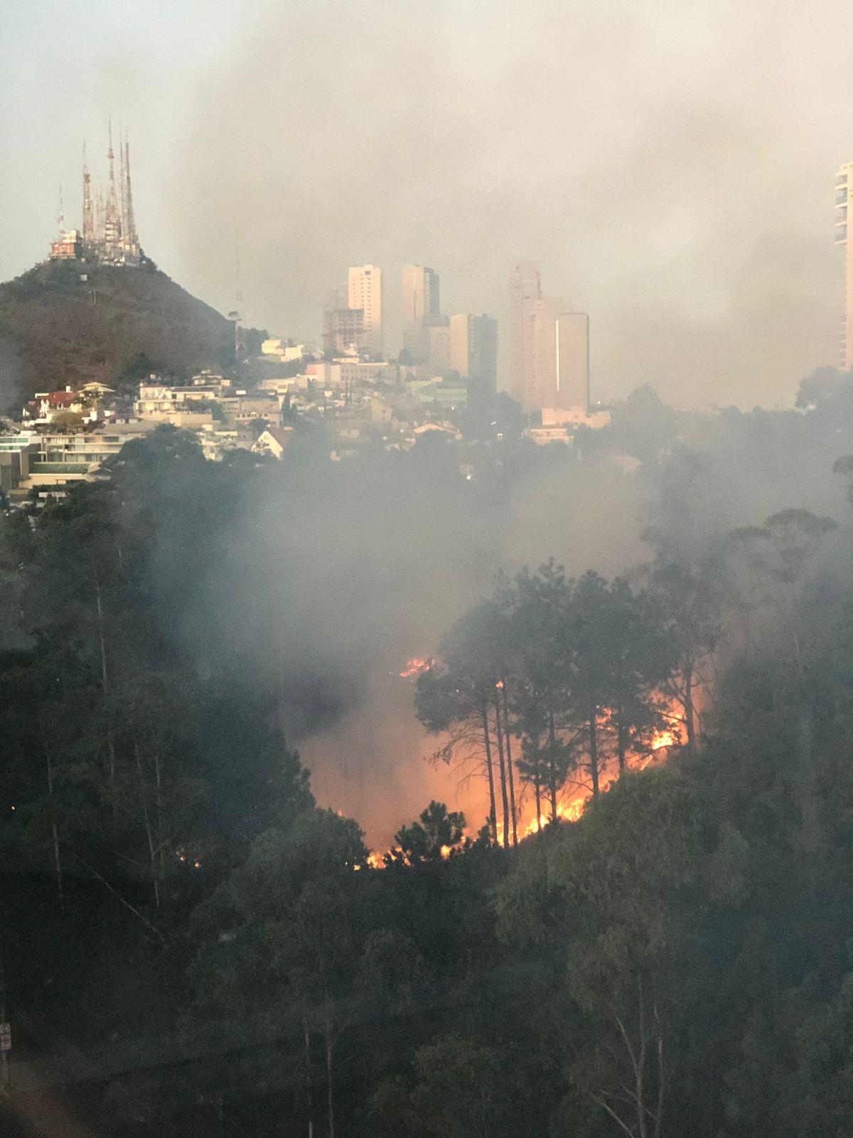 Moradores registraram imagens das labaredas que atingiram a área verde do Parque Linear do Belvedere, no início da noite desta quinta-feira (Parque Linear / Divulgação)