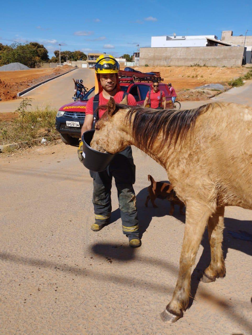 (Divulgação / Corpo de Bombeiros)