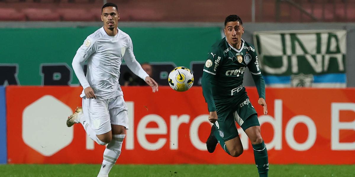 (Cesar Greco/Palmeiras Divulgação)