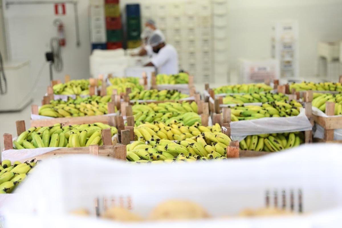 Na pandemia, famílias foram atendidas diretamente com a  doação de alimentos (PBH / Divulgação)
