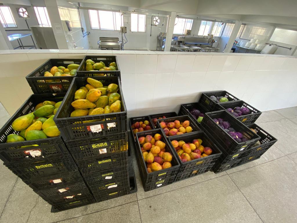 Cerca de 120 toneladas de alimentos são doados todos os meses (Divulgação Prodal)