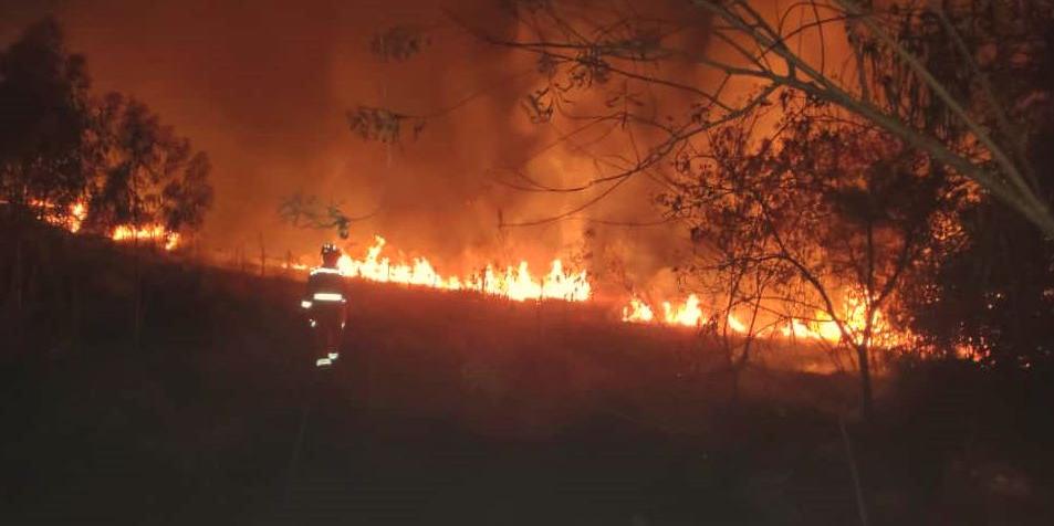 Segundo testemunhas, o incêndio começou às margens da rodovia e invadiu o terreno da fazenda (Corpo de Bombeiros/Divulgação)