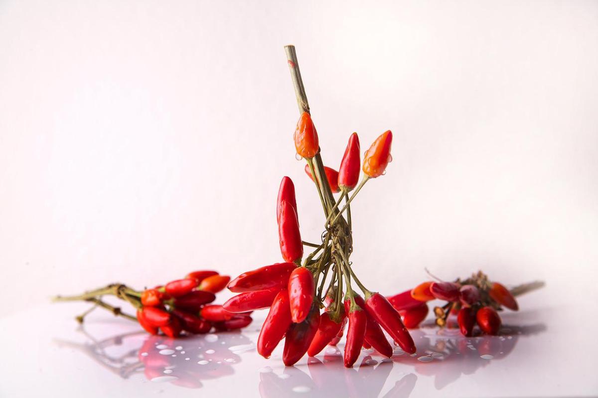 Pimenta é um dos principais alimentos afrodisíacos (Pixabay)