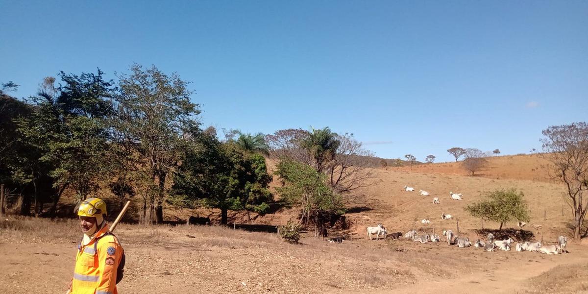 O fogo começou na última sexta-feira (19) e consumiu uma área equivalente a 370 campos de futebol (Corpo de Bombeiros/Divulgação)