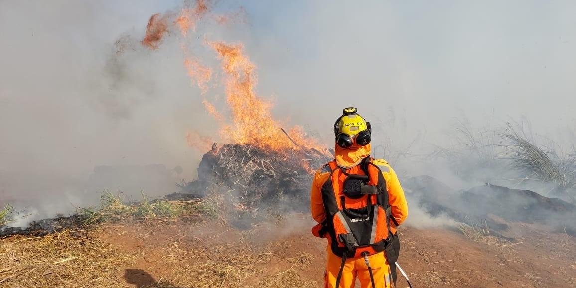 (Corpo de Bombeiros MG / Divulgação)