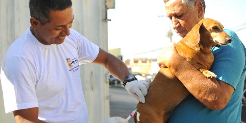 A Prefeitura de Betim estima que dos 46 mil animais que podem receber a vacina contra a raiva, 15.918 já foram imunizados (Prefeitura de Betim / Divulgação)