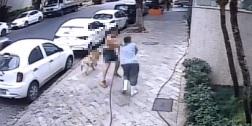 (Reprodução / Redes sociais)