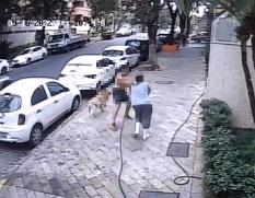 (Reprodução / Redes sociais)