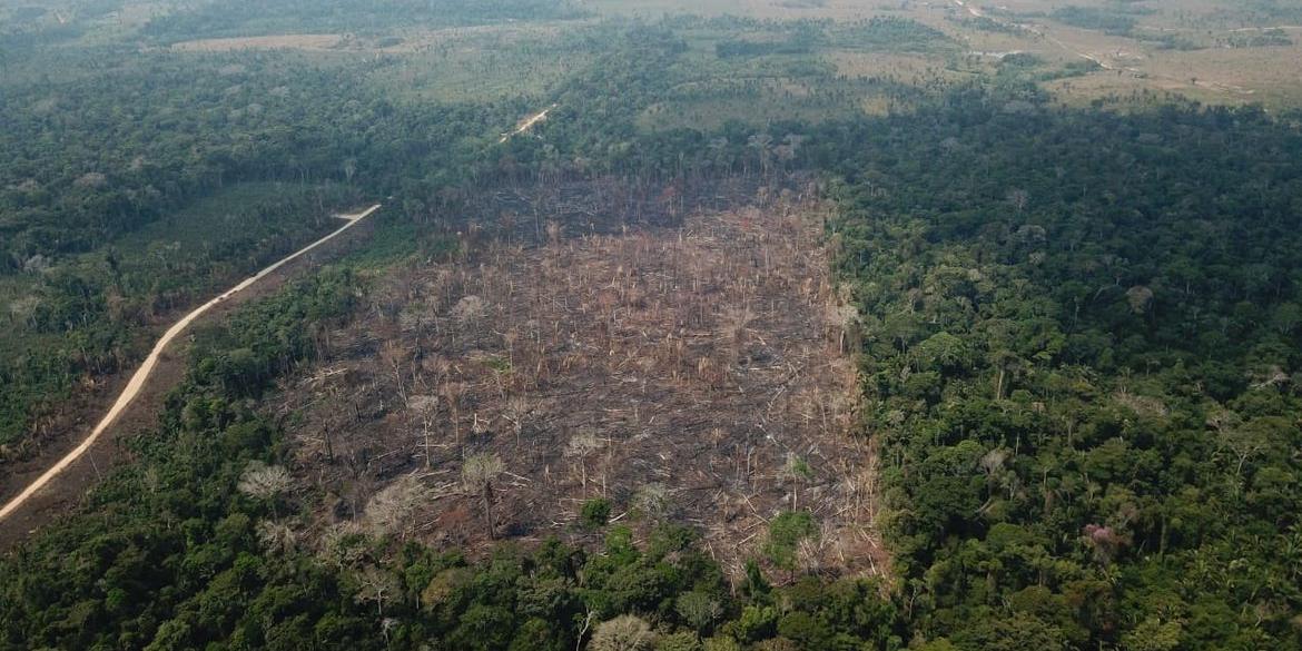 Dado está nas Contas Econômicas Ambientais da Terra do IBGE (Op VERDE BRASIL / 17)