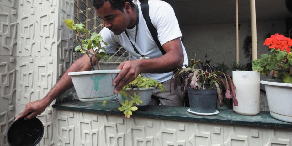 Moradores devem verificar recipientes que possam acumular água parada, favorecendo a proliferação do mosquito nas casas (Hoje em Dia)