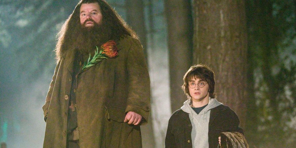 Robbie Coltrane ficou marcado pelo carismático personagem Hagrid dos filmes "Harry Potter" (Warner Bros. / Divulgação)