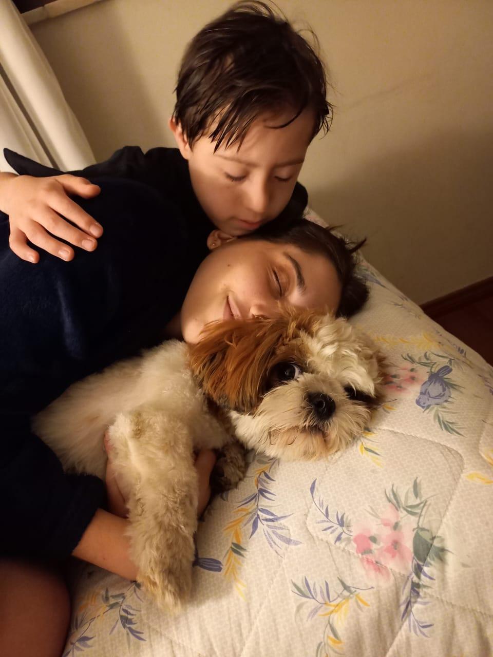 Menino tem perguntado pelo cachorro sem parar (Arquivo Pessoal)