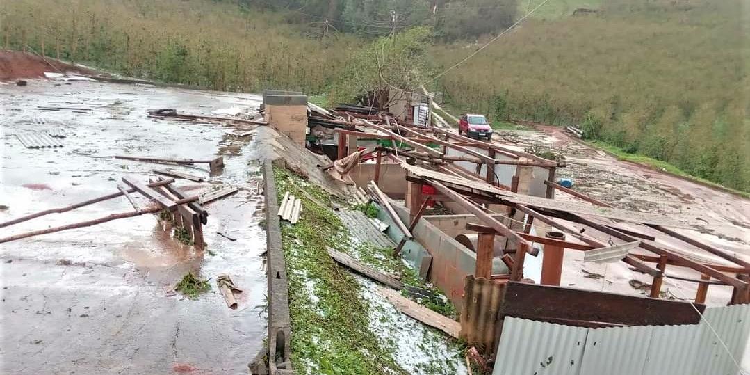 (Emater-MG/Divulgação)