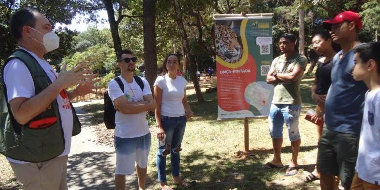 “Ajudar é o Bicho!” tem o objetivo de conscientizar a população sobre a responsabilidade no trânsito (Rizzia Botelho / PBH)