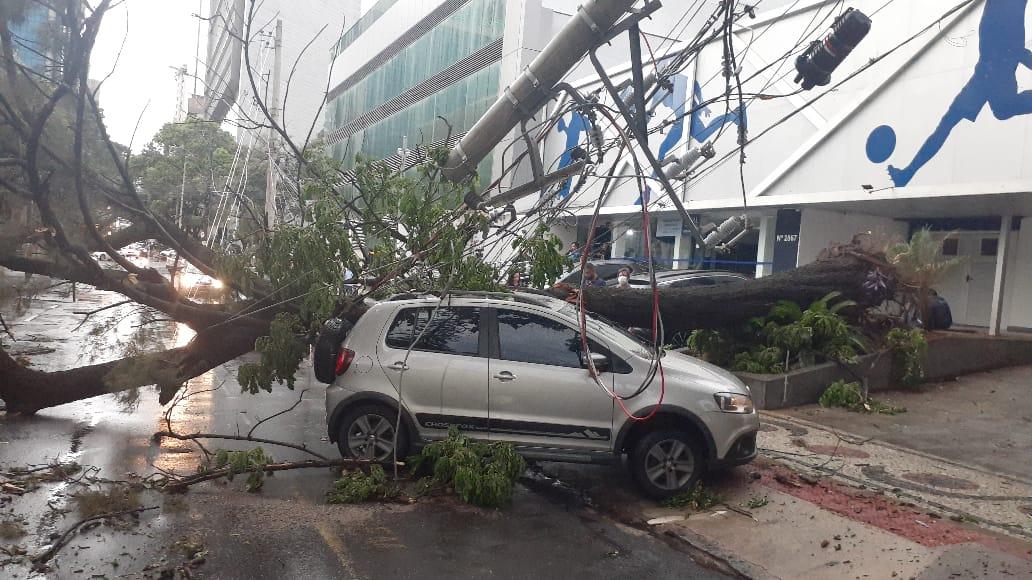 Uma árvore caiu sobre um carro na rua Gonçalves Dias, no bairro Santo Agostinho (Walter Pernambuco)