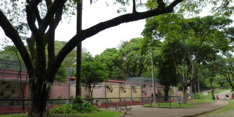 Prefeitura de Belo Horizonte abre licitação para reforma e construção de espaços no Zoológico; Praça das Aves deve ganhar bioma da Mata Atlântica (Livia Ansaloni / PBH / Divulgação)
