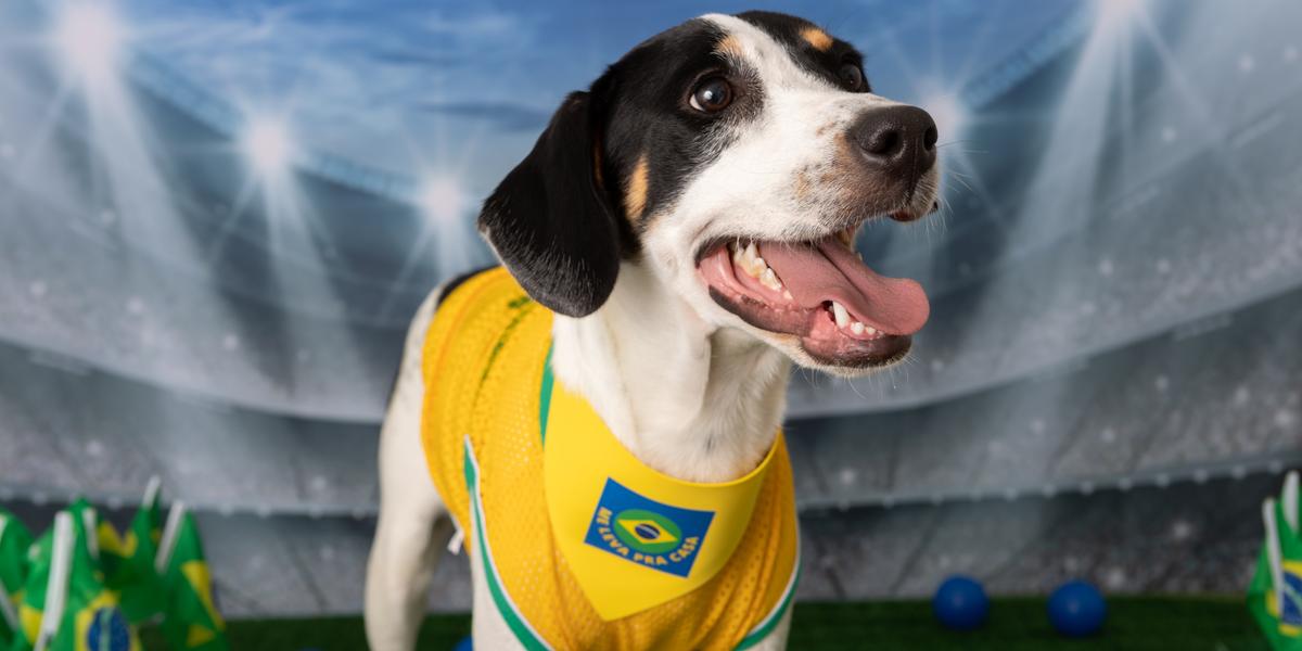 (Vale/Divulgação)