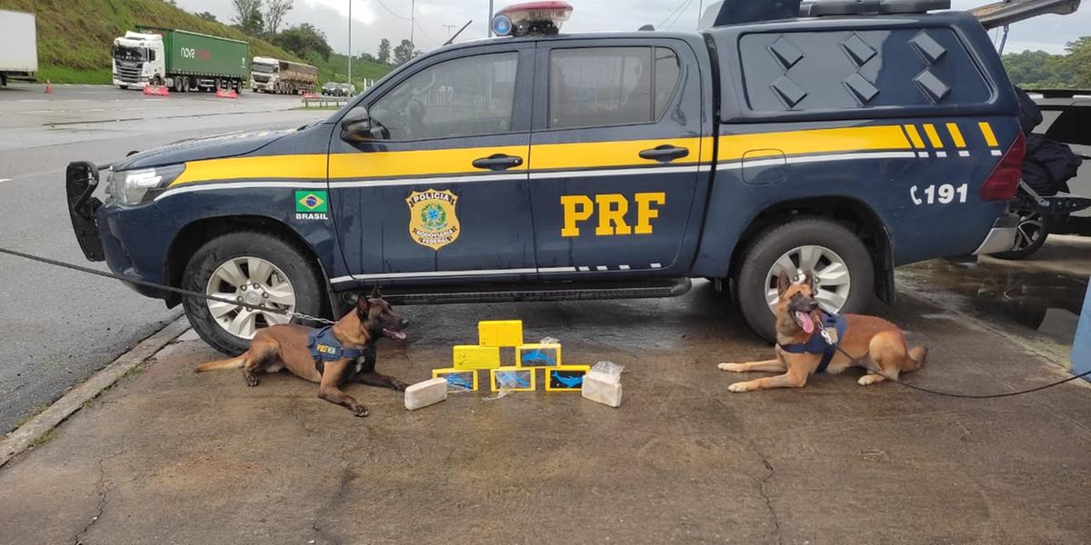 Cães farejadores da Polícia Rodoviária Federal localizaram R$ 1,4 milhão em cloridrato de cocaína em mochila de passageiro (PRF / Divulgação)