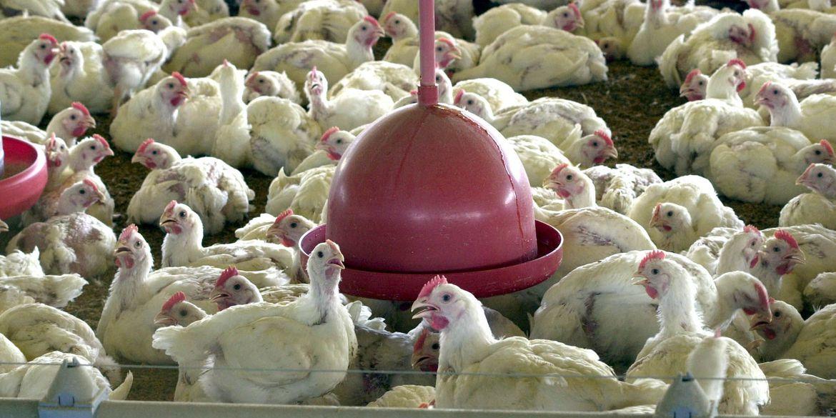 Situação de emergência tem prazo de 90 dias (Arquivo / Agência Brasil)