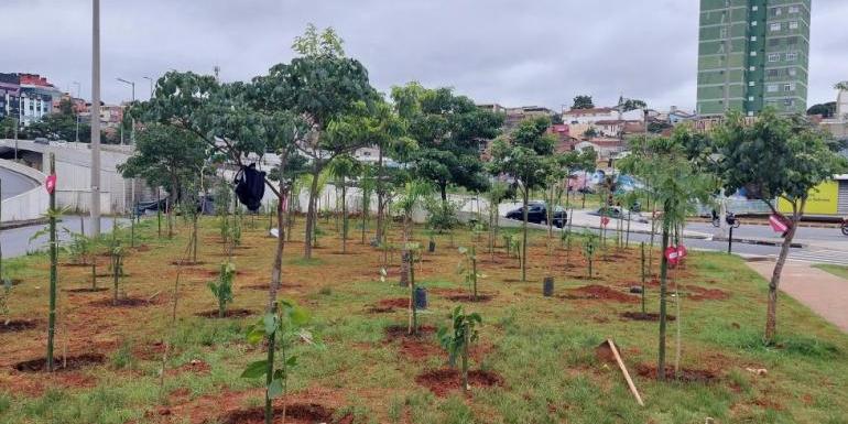 (PBH/ Divulgação)