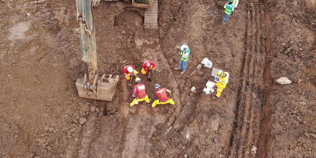 (Bombeiros MG / Divulgação)