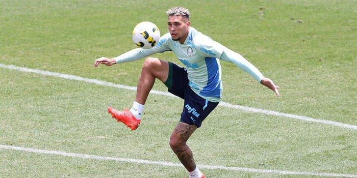 (César Greco/Palmeiras)