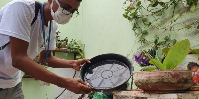 Nos mutirões, agentes de saúde buscam identificar pontos de proliferação do Aedes aegypt (Divulgação)