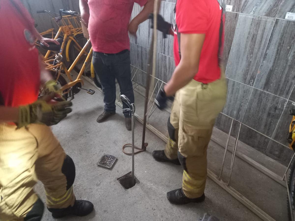 (Divulgação / Corpo de Bombeiros)
