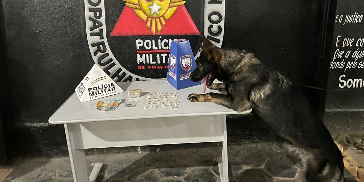 (Polícia Militar / Divulgação)