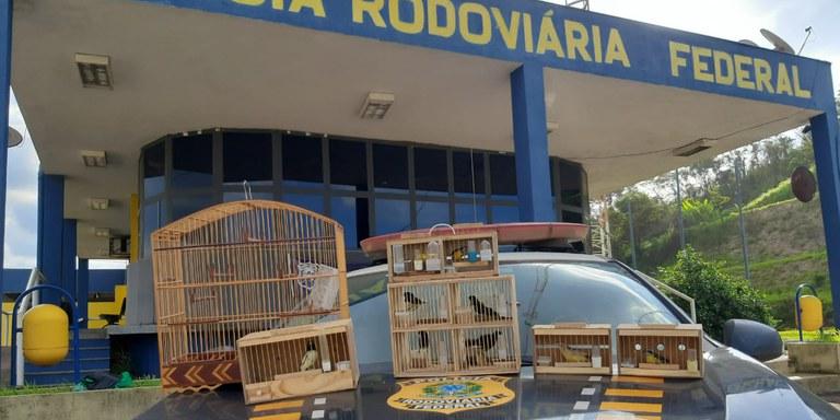 (Polícia Rodoviária Federal)