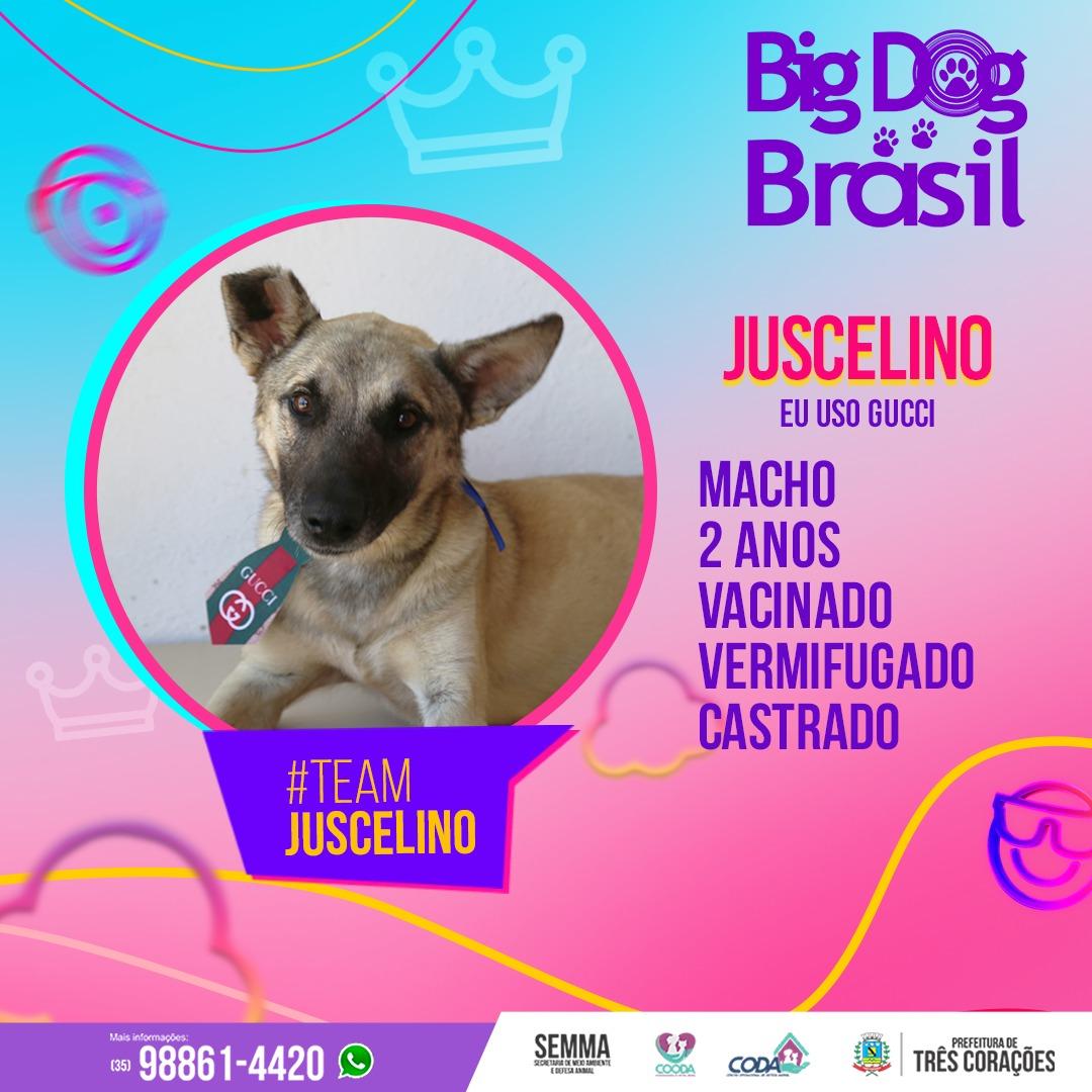 (Reprodução / Redes Sociais)