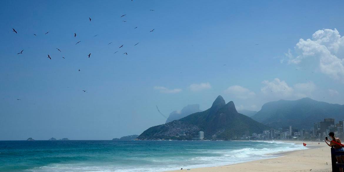 Finalidade é coletar materiais que ajudem a conservar aves (Tânia Rêgo/Agência Brasil)