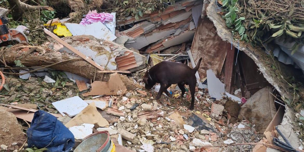 Bombeiros procuram casal e filha desaparecidos após deslizamento (Divulgação Bombeiros)