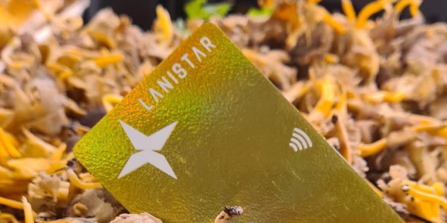 (https://www.lanistar.com)
