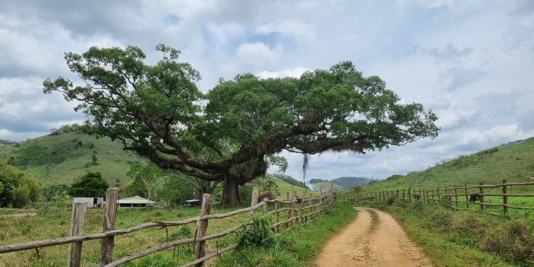 (Divulgação/Rota Humaitá de Minas)