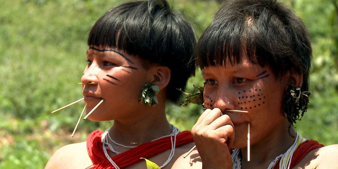 Crise humanitária devastou a Terra Indígena Yanomami, com a invasão do garimpo proibido no local (TV Brasil/Divulgação)
