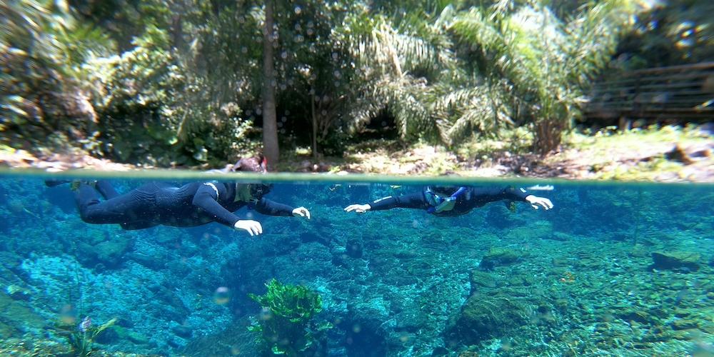 Proteção ambiental na Nascente Azul, em Bonito, garante águas cristalinas em períodos de chuva (Divulgação)