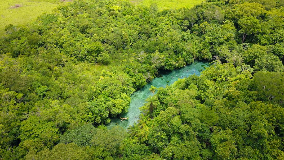 Proteção ambiental na Nascente Azul, em Bonito, garante águas cristalinas em períodos de chuva (Divulgação)