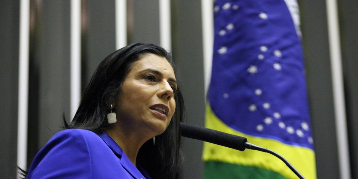 (Câmara dos Deputados / Divulgação)