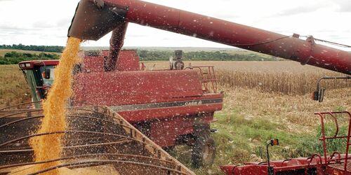  De acordo com os dados da FJP em relação ao PIB de Minas Gerais, em Agropecuária foi o setor que mais cresceu percentualmente, 11,5% (Arquivo/Agência Brasil)