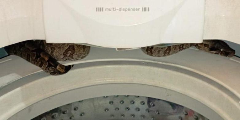 (CBMMG / Divulgação)