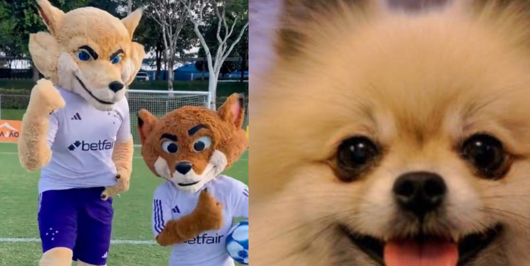 Redes Sociais são invadidas de memes após divulgação do novo visual do Raposão (Montagem / Reprodução Internet)
