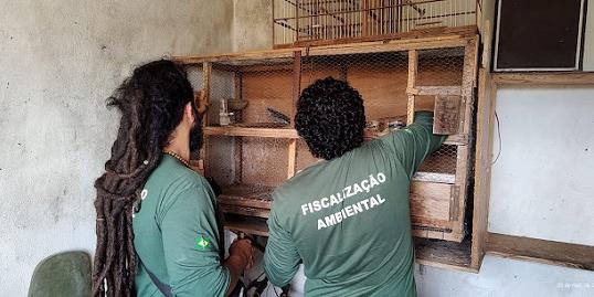 (Divulgação/Semad)