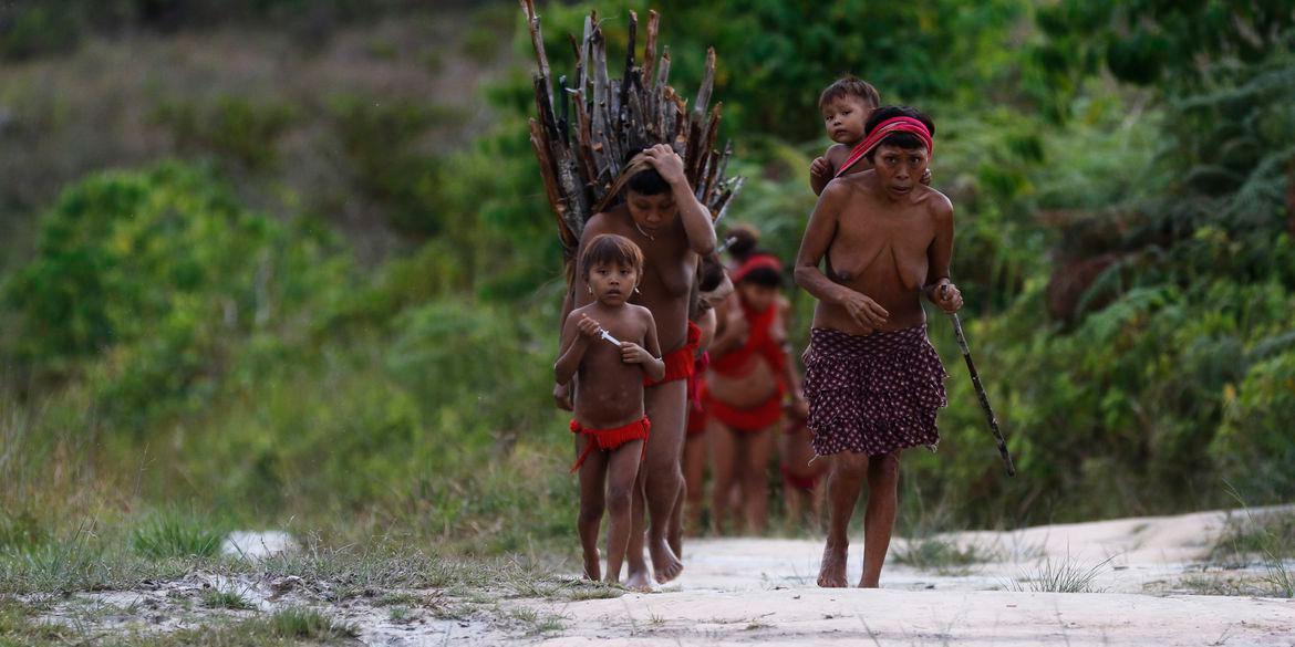 Mulheres e crianças yanomami em Surucucu, na Terra Indígena Yanomami (Fernando Frazão/Agência Brasil)