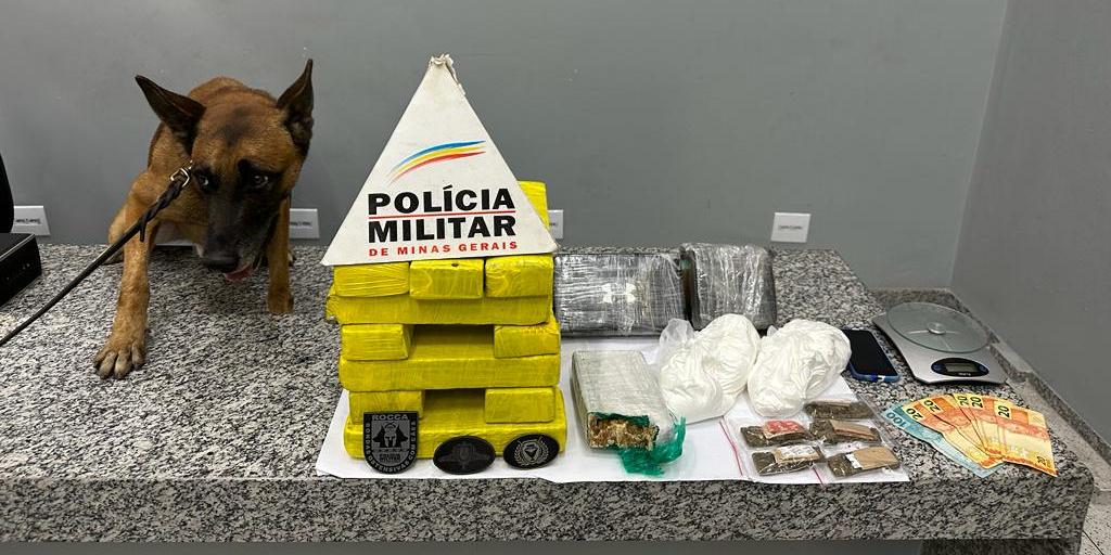 Cão farejador auxiliou os policiais na busca, encontrando 13 barras e cinco porções de maconha (Polícia Militar/Reprodução)